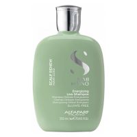 ALFAPARF Semi di Lino - Scalp Care Energizing Шампунь 250мл (против выпадения волос)