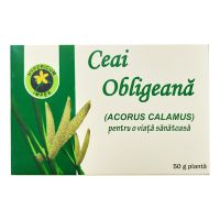 Чай Hypericum Аира корневища (Obligeana) 50г