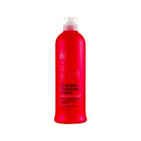Шампунь для окрашенных волос Black Professional Line Color Protection Shampoo 500 мл