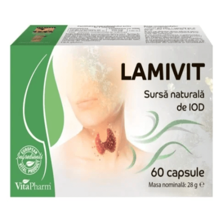 Ламивит капсулы  №60